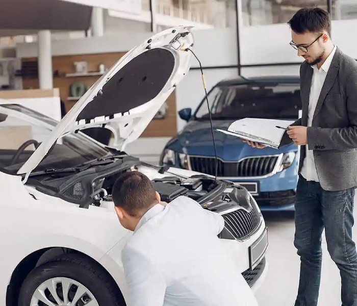 Mobile Car Inspection